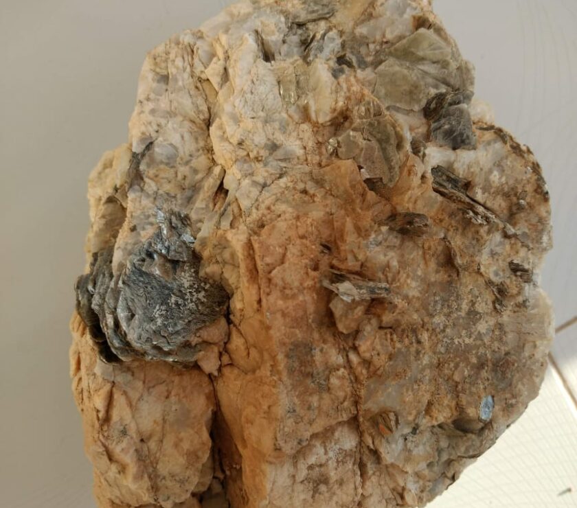 WhatsApp Image 2025-02-18 at 12.30.21_b5596bb1