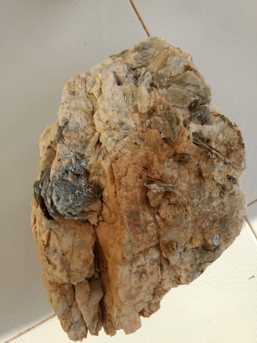 WhatsApp Image 2025-02-18 at 12.30.21_b5596bb1